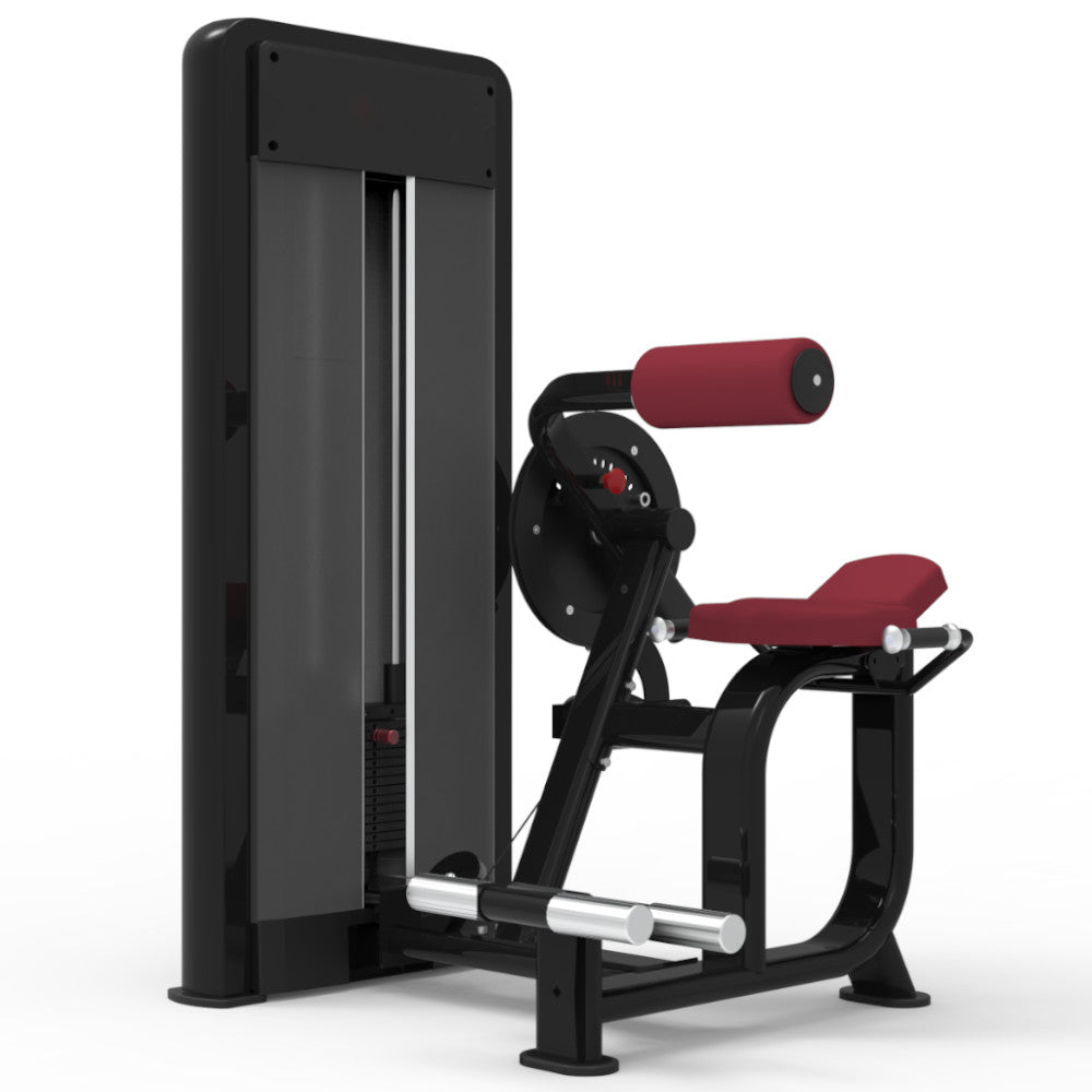 Pegasus 1S 2-in-1 Ab Crunch & Back Extension Machine - Home Gym Equipment for Core Workouts & Strength Training - Perfect for Home Fitness & Full Body Exercise