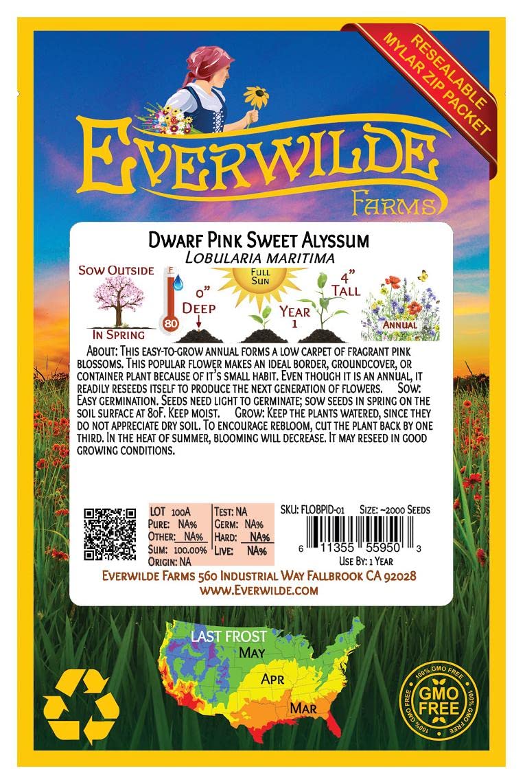 2000 Dwarf Pink Sweet Alyssum Wildflower Seeds - Everwilde Farms Gold Vault Jumbo Seed Packet for Garden Borders, Rock Gardens & Container Planting