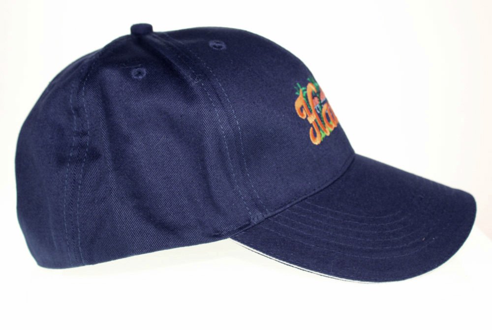 Hawaii Aloha State Embroidered Diamond Head Baseball Cap - Stylish Sun Hat for Beach, Travel & Outdoor Adventures