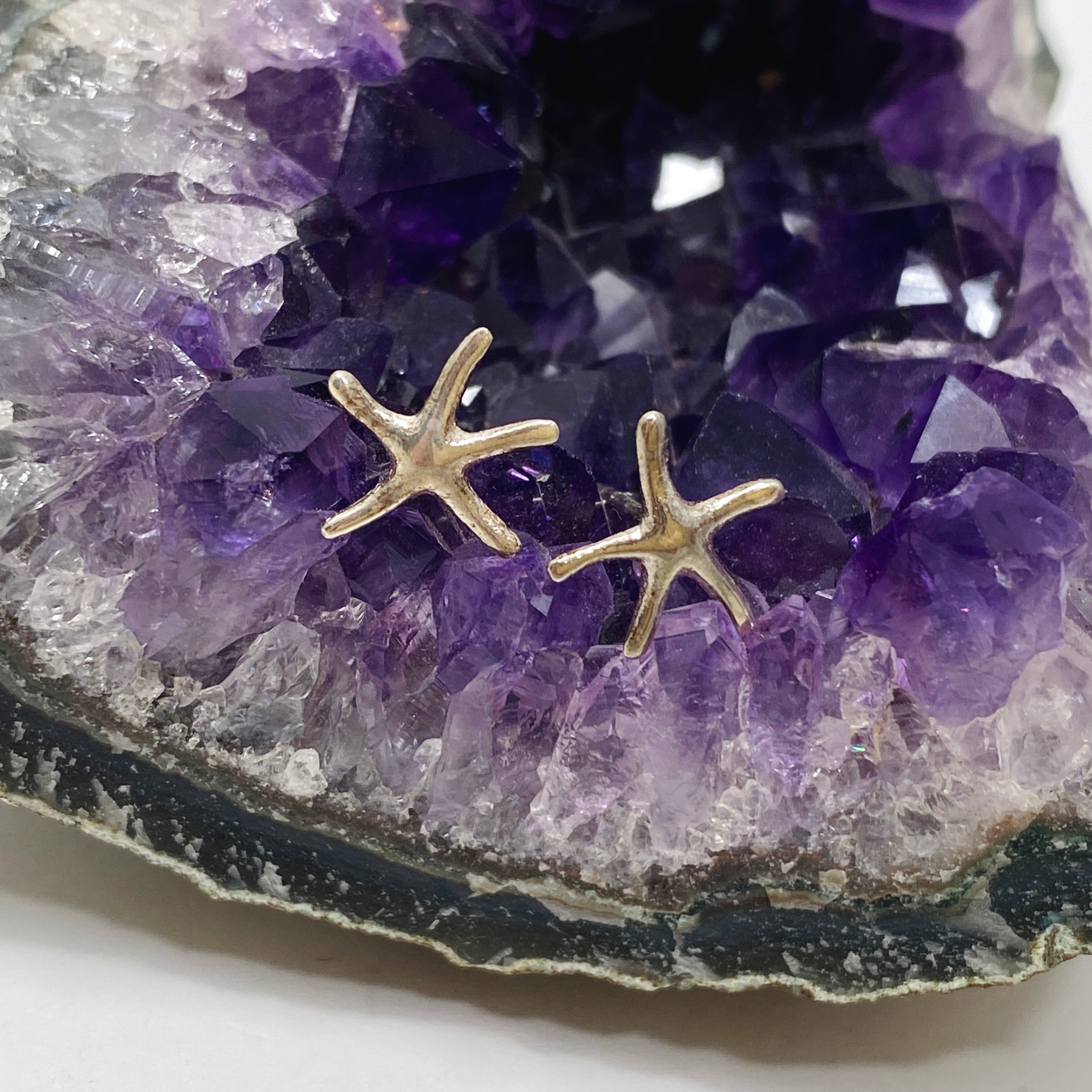 925 Sterling Silver Starfish Stud Earrings for Women - Hypoallergenic & Tarnish Resistant - Perfect for Beach Vacations, Summer Outfits, and Gift Giving