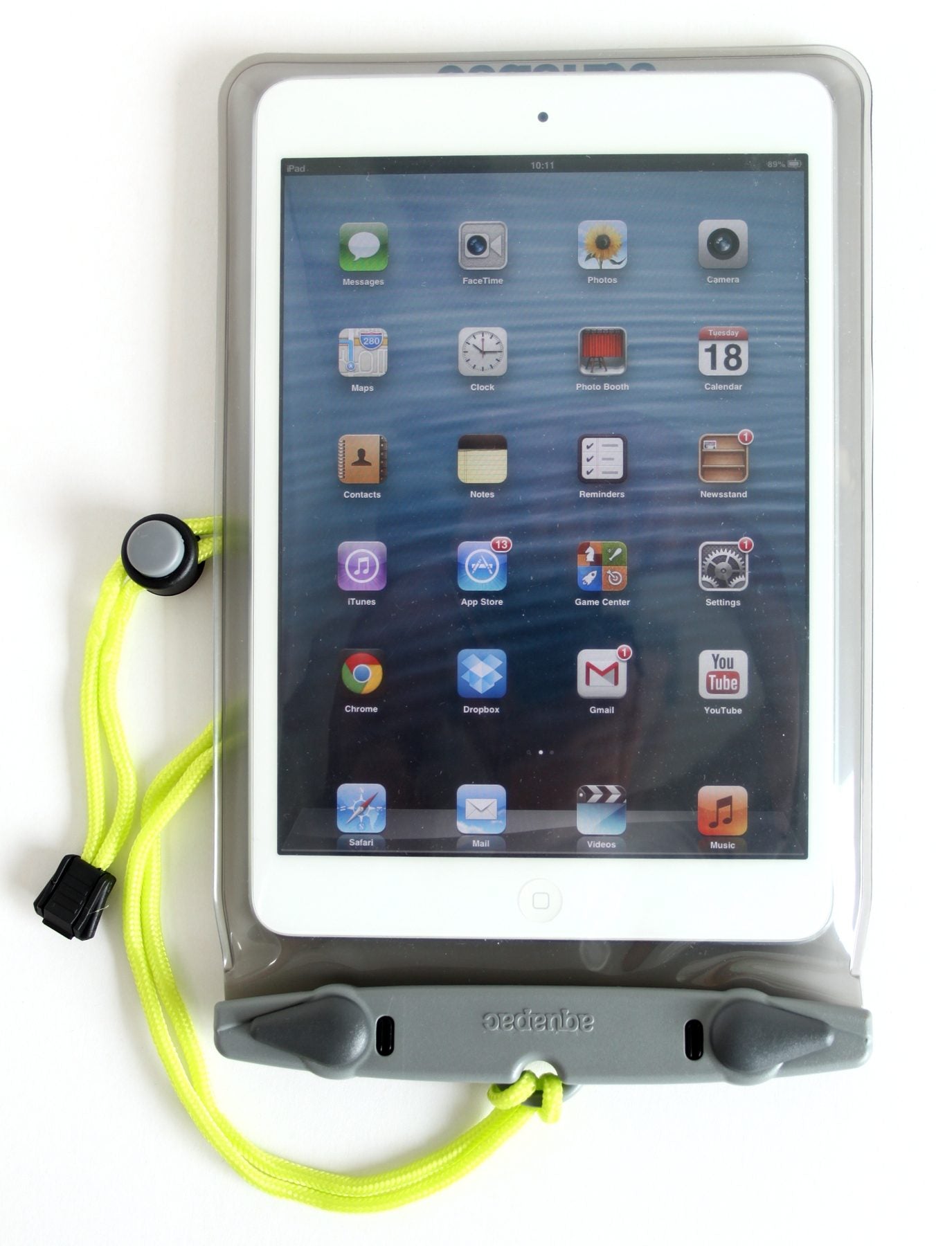 **Waterproof iPad Mini & Kindle Case with Lensflex Window - Ideal for Outdoor Adventures, Travel & Water Sports**