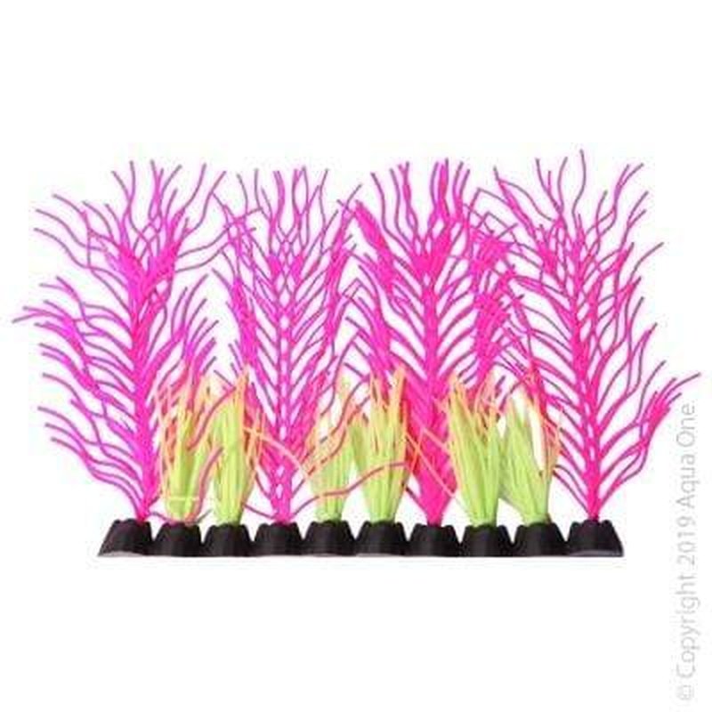 Aqua One Flexiscape Small Hornwort Pink and Green Aquarium Plant - 12cm Live Aquatic Plant for Fish Tanks, Ponds, and Aquascaping