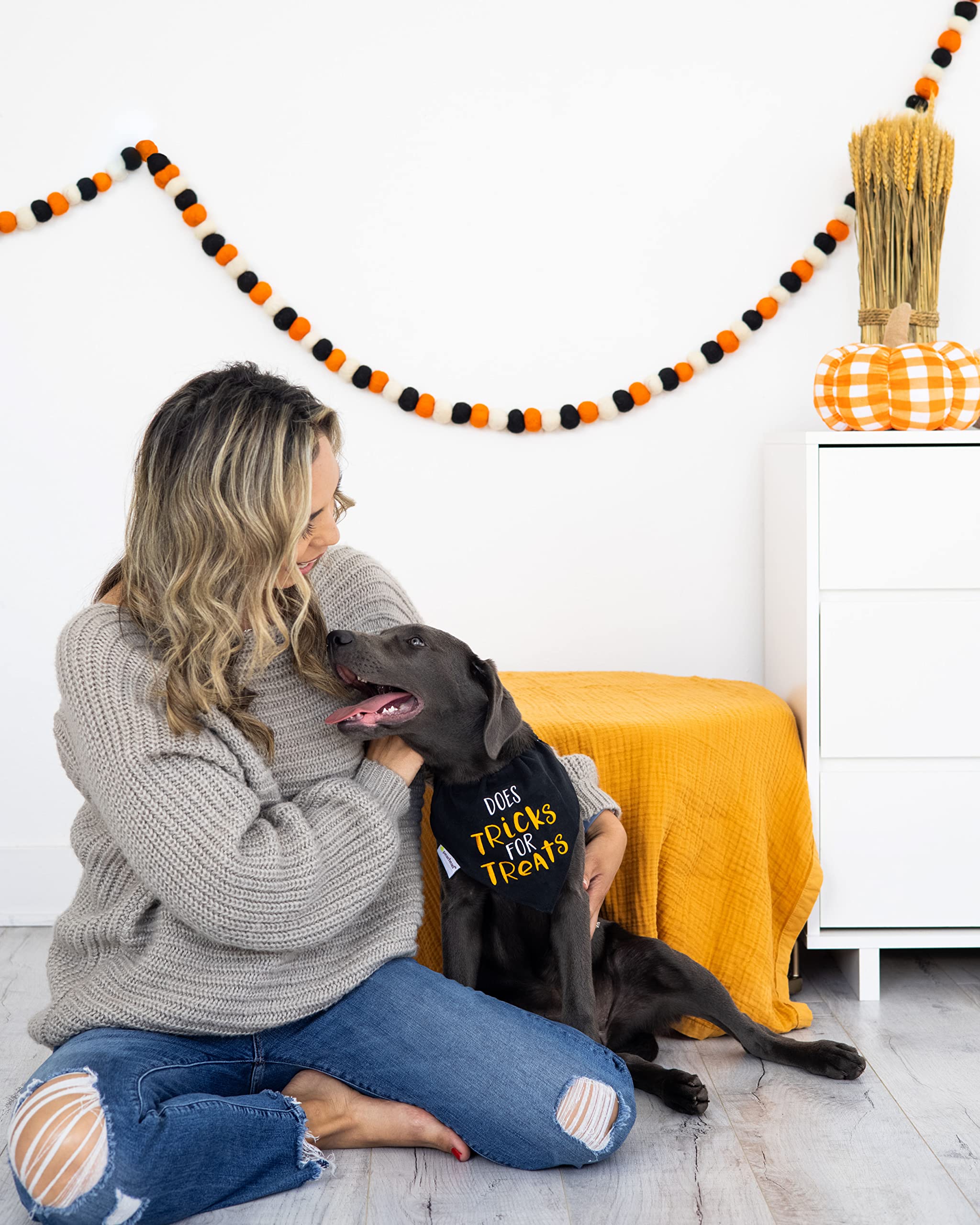 Pearhead Halloween Dog Bandana - Trick or Treat Pet Bandana for Small & Medium Dogs, Fall Holiday Dog Apparel, Slip-On Dog Collar Accessory for Halloween Costumes - Perfect for Trick-or-Treating, Pumpkin Patch Visits & Spooky Pet Photo Shoots