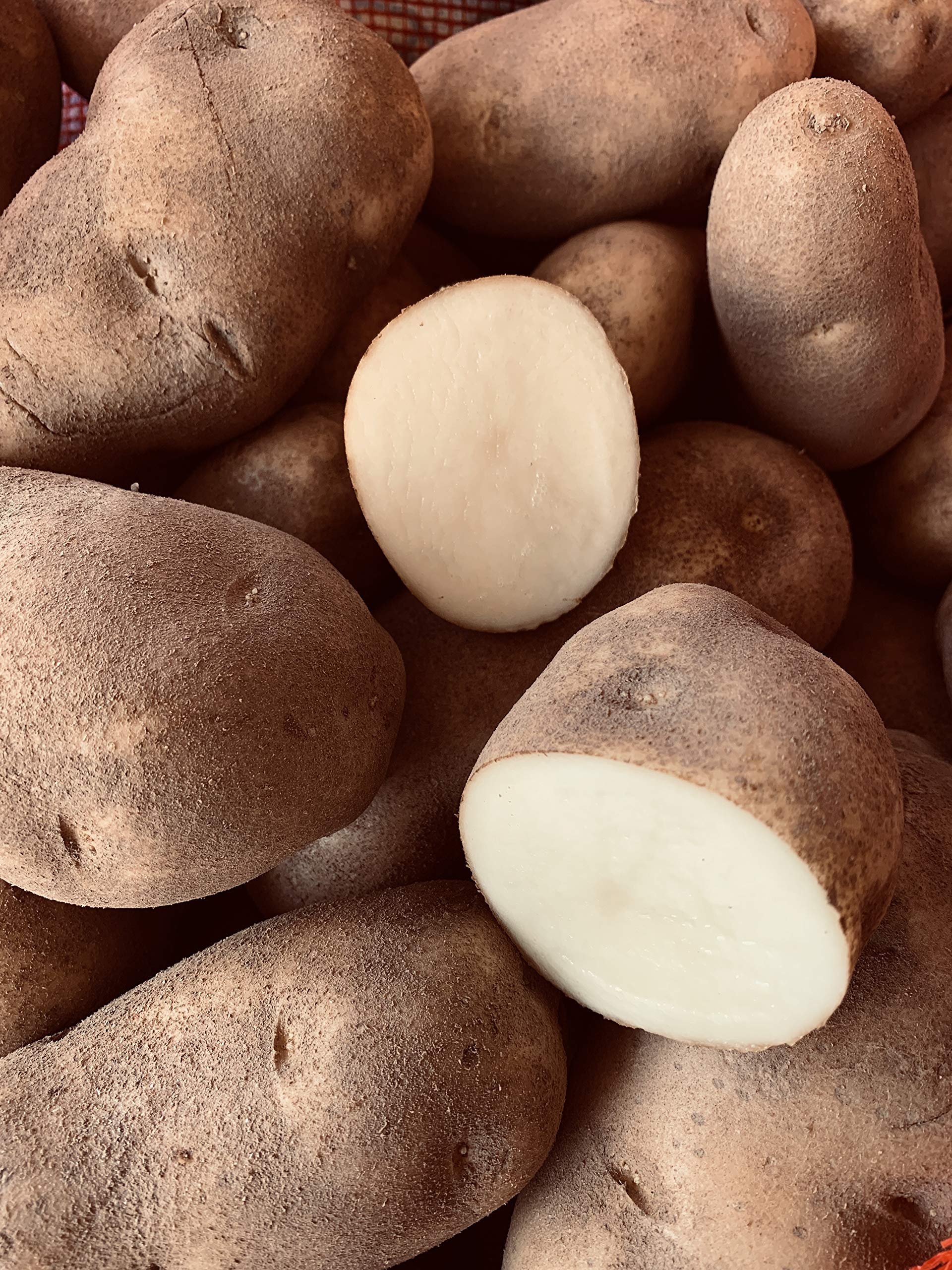 Organic Russet Potatoes | Non-GMO, Gluten-Free | USA Grown Fresh Potatoes (4 lbs) | Perfect for Baking, Mashing & Roasting