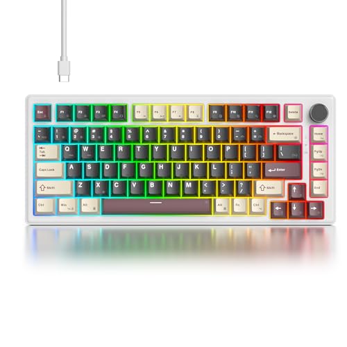 Roma/White Switch
