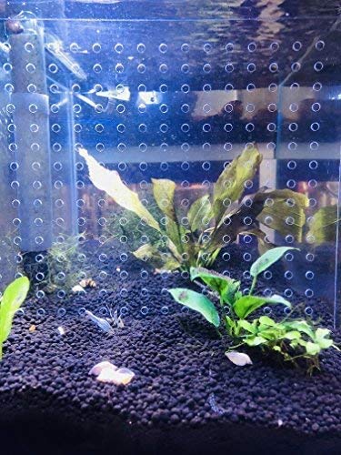 5.5 Gallon Acrylic Aquarium Divider with Suction Cups - 7.4