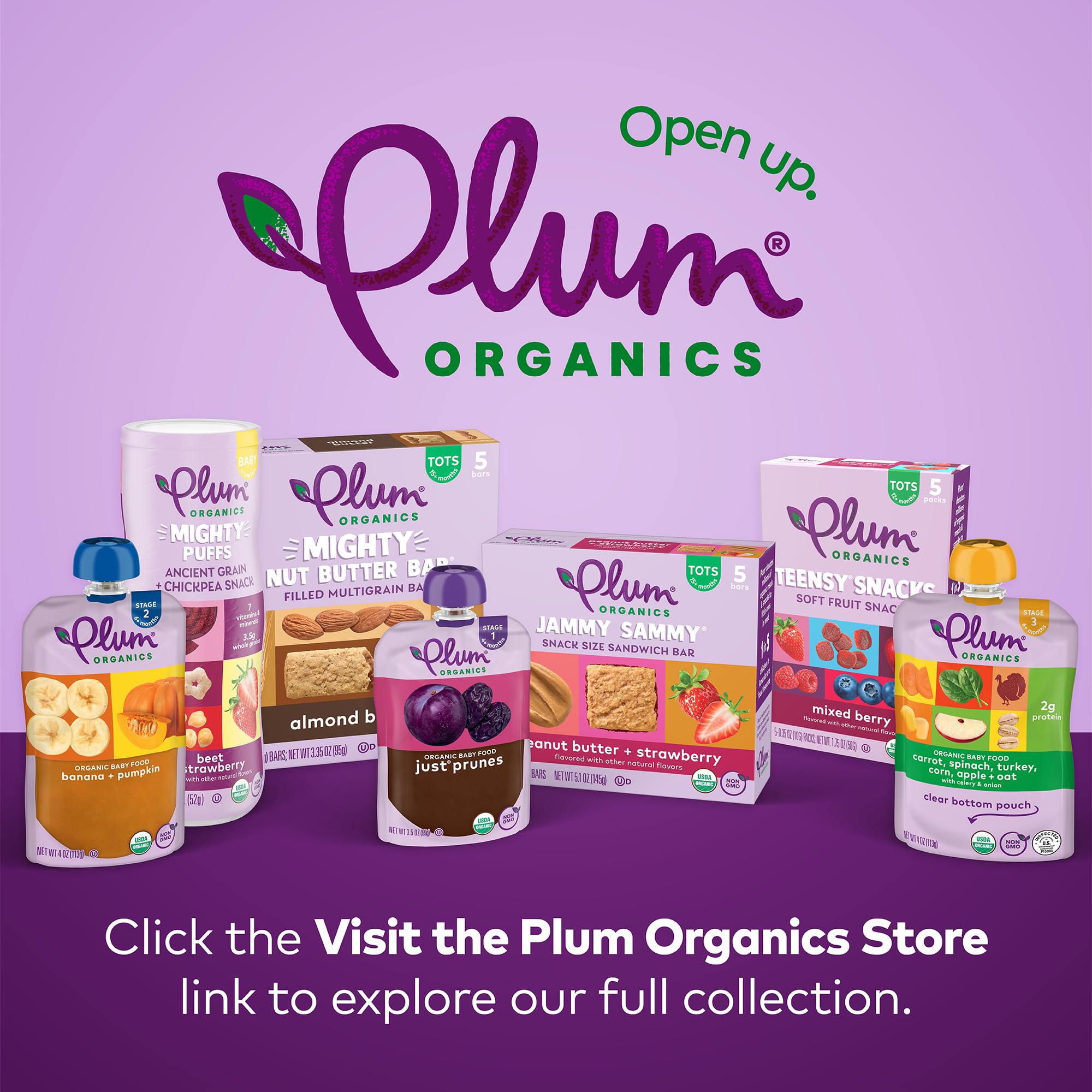 Organic Blueberry Oatmeal Toddler Snack Bars - Pack of 5 for On-the-Go Nutrition