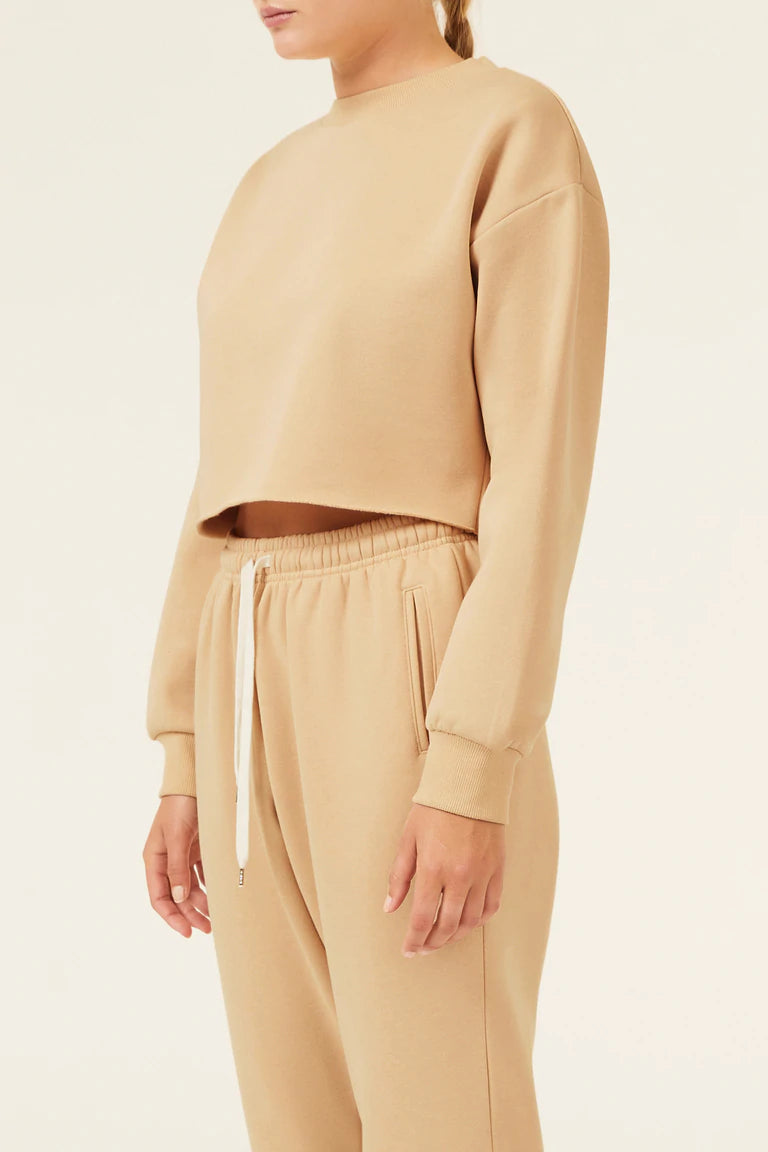Women's Carter Classic Crop Sweatshirt - Soft & Comfortable Pullover for Casual Wear, Gym, or Lounge