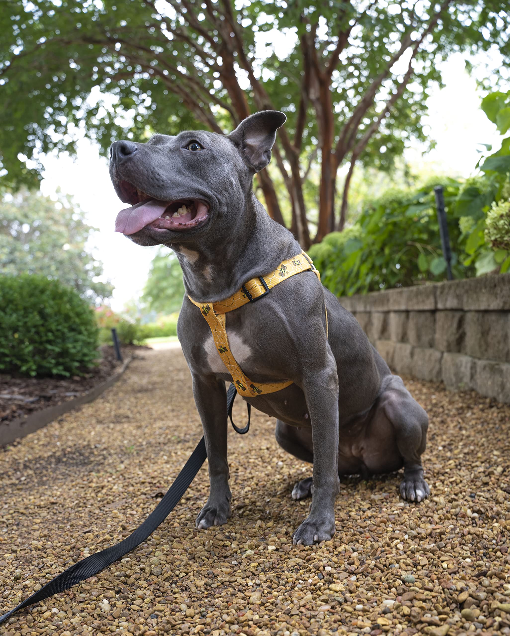 Country Brook Design - Busy Bee Polyester Webbing - Durable & Lightweight for DIY Crafts, Pet Collars, and Outdoor Gear Accessories