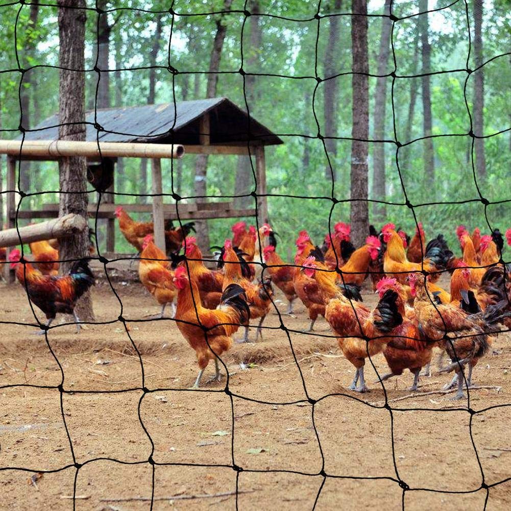 LSXIAO Heavy Duty Nylon Bird Netting - 15x15m Black Chicken Coop Cover, Garden Fence, Fruit Tree Protection - UV Resistant, Windproof & Rainproof - Ideal for Poultry, Pets, and Harvesting - Perfect for Backyard, Farm, and Pond Safety