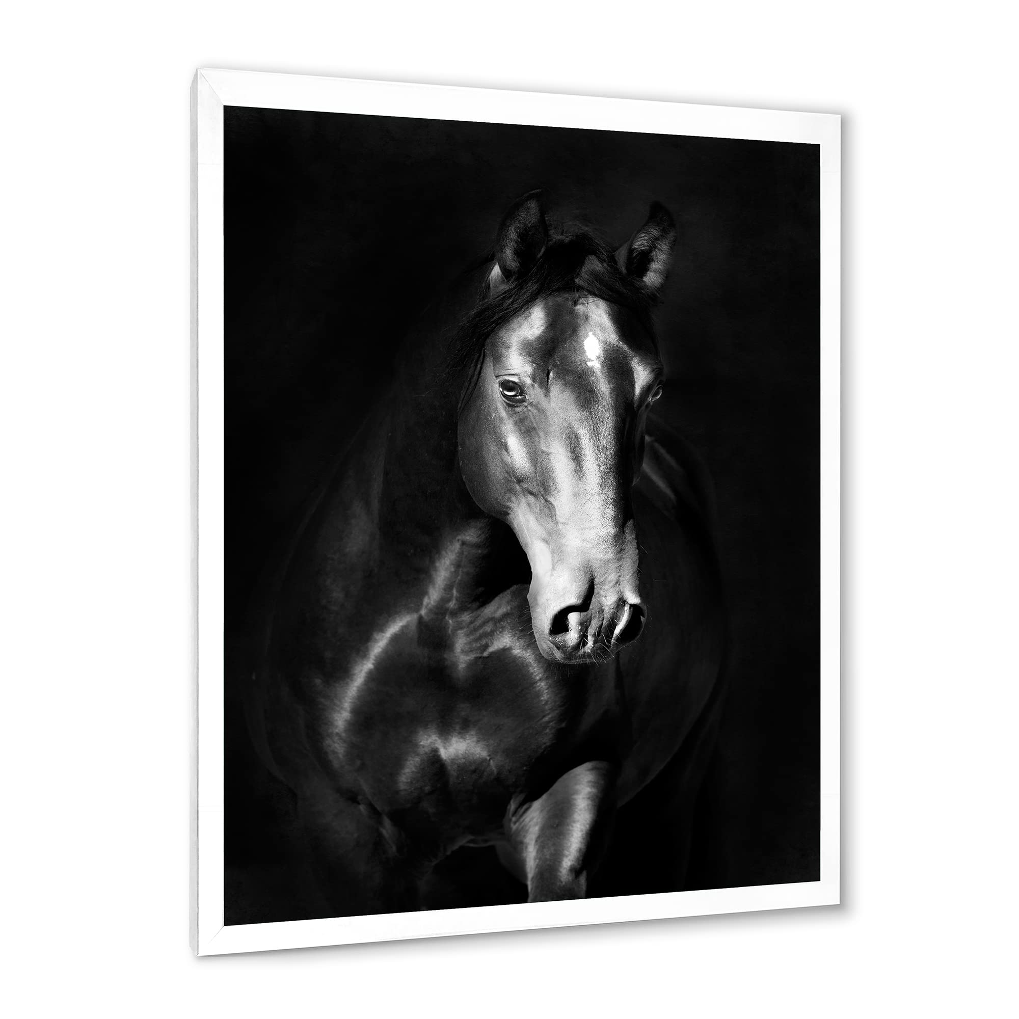 DesignQ Black Kladruby Horse Farmhouse Framed Wall Art Print - Elegant Equestrian Decor for Living Room, Bedroom & Office