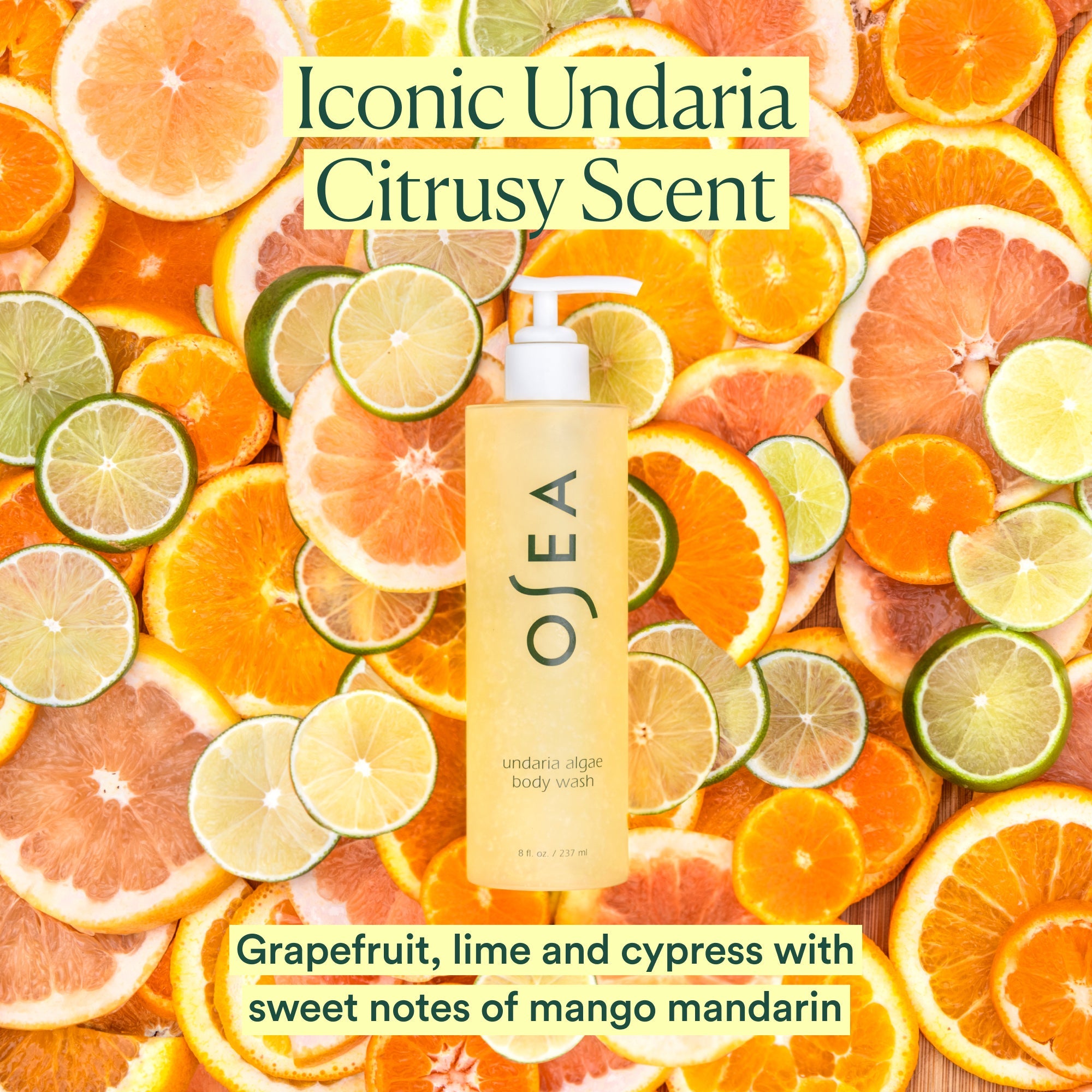 Undaria Algae™ Body Wash - Organic Seaweed Infused Shower Gel for Hydrating & Detoxifying Skin | Gentle Cleanser for Dry, Sensitive Skin | Perfect for Daily Shower Routine & Spa-Like Experience at Home
