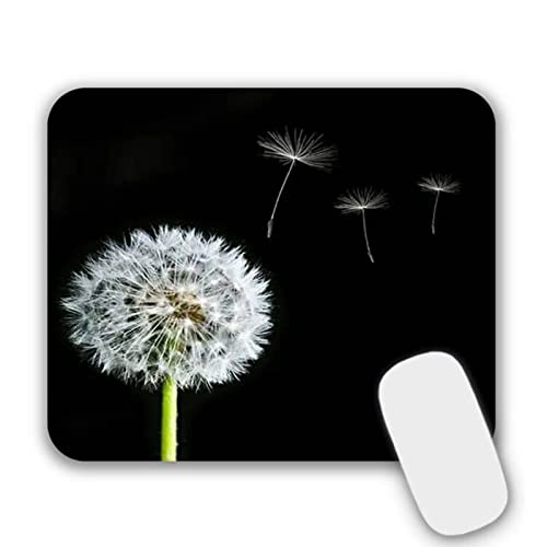 Dandelion 2