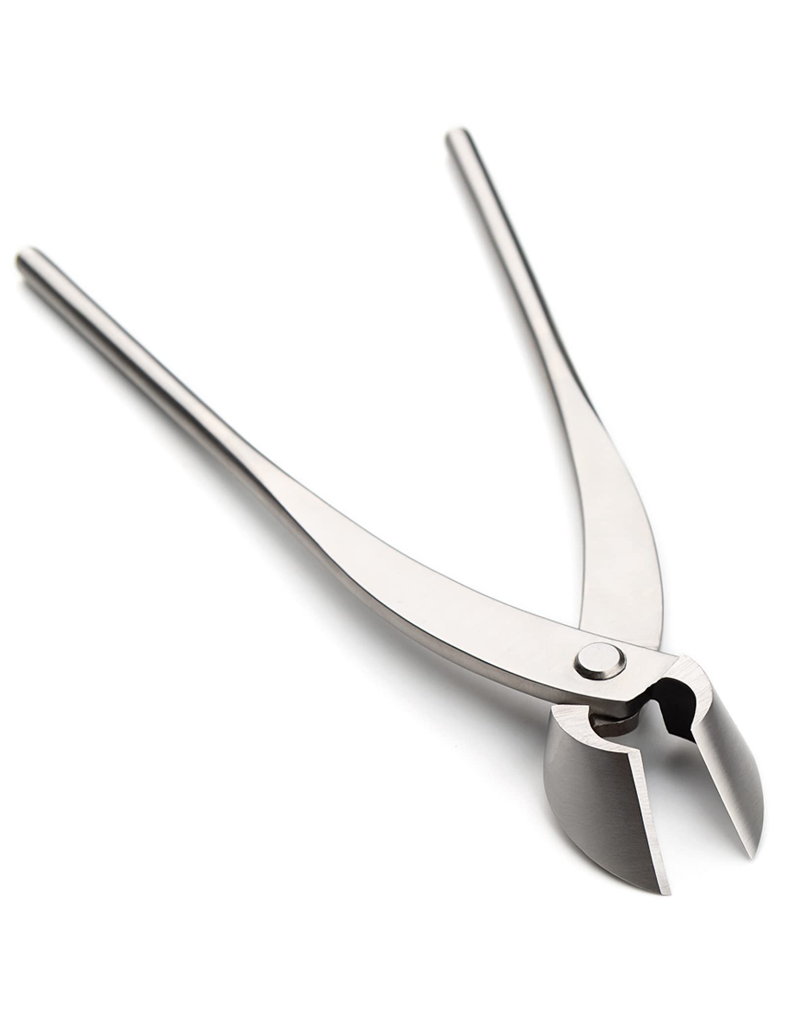 Professional Grade Bonsai Straight Edge Cutter - Alloy Steel Branch Trimmer with Tool Bag (MT-SE-280) | Perfect for Pruning, Shaping & Maintaining Bonsai Trees, Gardens & Indoor Plants