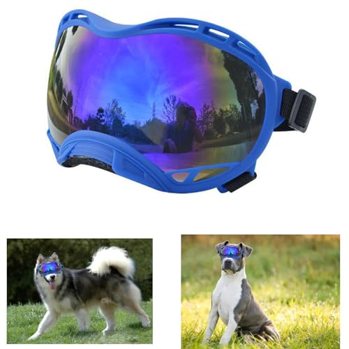 Bule Frame & Blue Lens/Small
