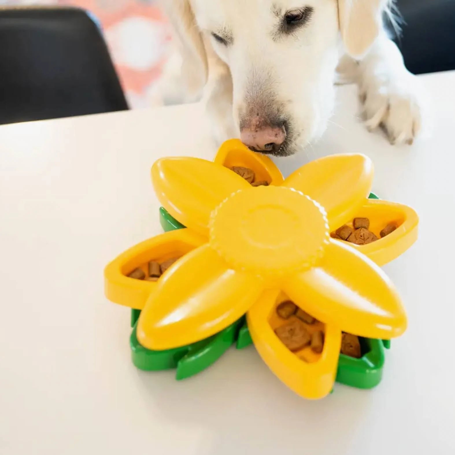 SmartyPaws Puzzler Interactive Dog Toy - Mental Stimulation Puzzle Game for Dogs with Treat Dispenser (Sunflower Design) - Perfect for Boredom Relief & Training Small to Medium Breeds