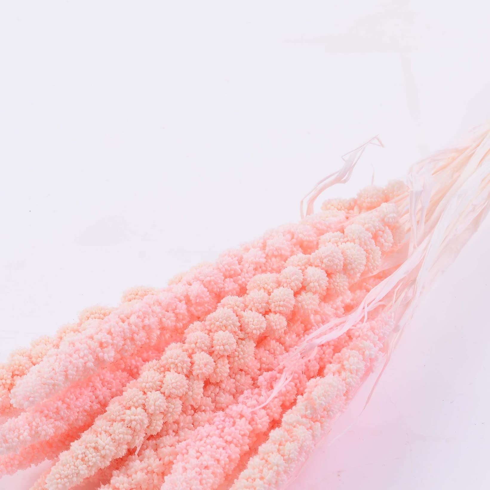 10 Pcs Natural Pampas Grass Bouquet - Dried Wheat Stems for Wedding Decor, Home Vase Filler, Table Centerpiece & Photography Props - Perfect for Boho Wedding, Farmhouse Decor & Fall Home Decorating