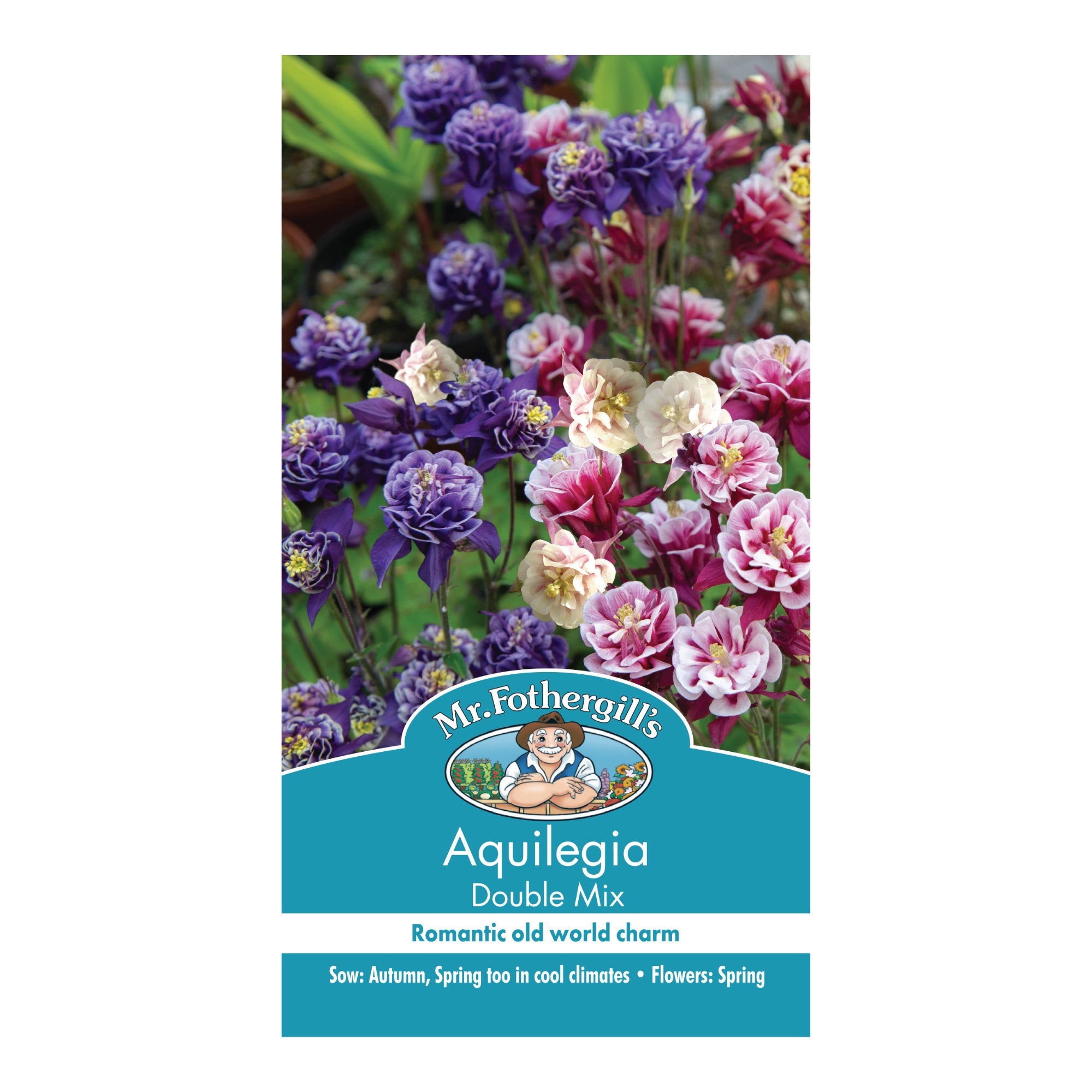 Aquilegia 'Double Mix' Seeds - Columbine Flower Seeds for Garden Planting, Perennial Flowers for Landscaping & Borders
