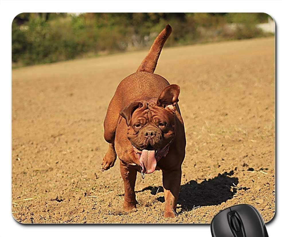 Premium Gaming Mouse Pad with Bordeaux Mastiff Dog Design - Non-Slip Rubber Base for PC, Laptop & Office Use - Perfect for Gamers, Work & Home Desks