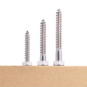 Hex Lag Screws 3/8x6
