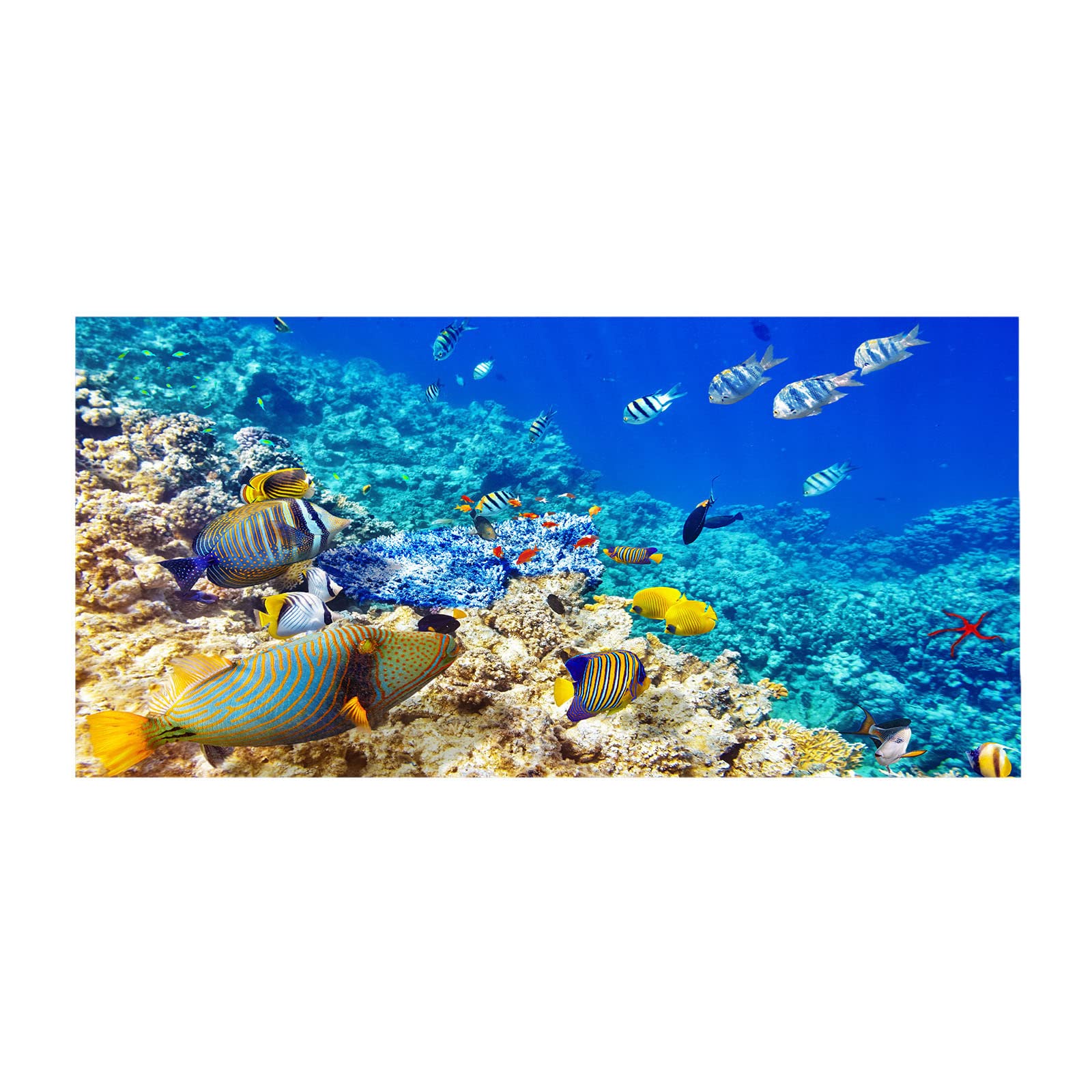 Premium Microfiber Beach Towel for Adults - Ultra Absorbent, Quick Dry & Sand Free - Lightweight Travel Towel for Beach, Pool, Gym, Yoga, Hiking & Backpacking - Perfect for Summer Vacations, Swimming & Outdoor Activities