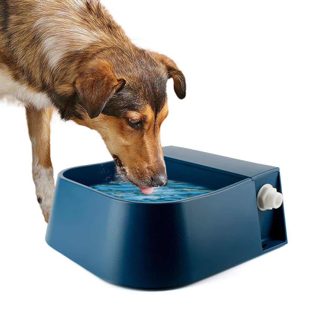 Lesypet Automatic Pet Water Bowl 2L - Self-Filling Dog Water Dispenser with Float Valve for Dogs, Cats, Goats - Outdoor & Indoor Use - Perfect for Backyard, Kennel, or Travel - Blue