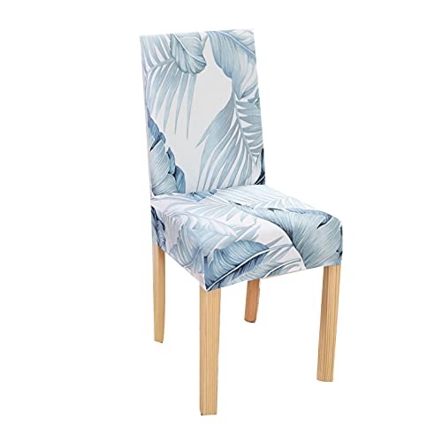 White+light Blue