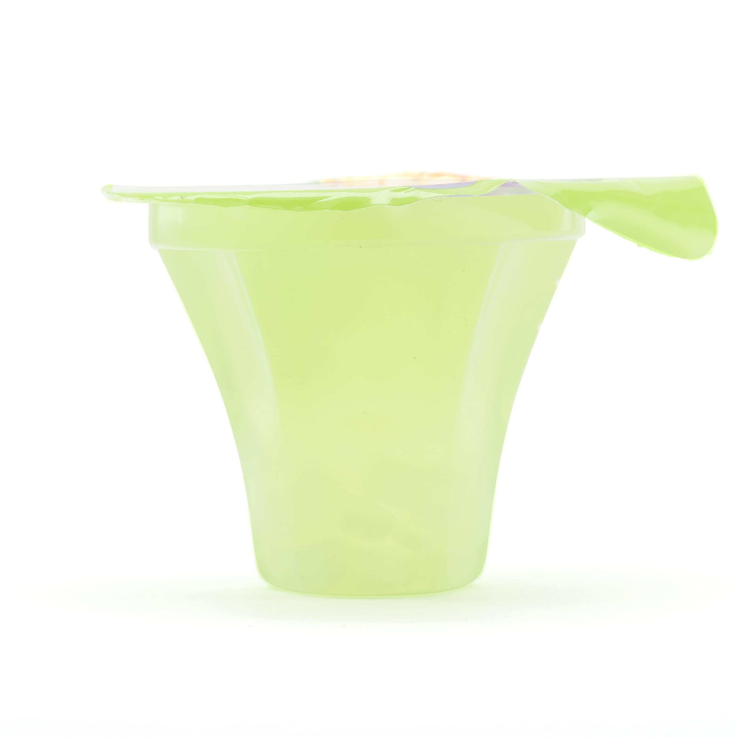 MDM Fruit Jelly Cups in Mesh Bags - 11.29oz (8 Cups) - Perfect for Snacks, Lunchboxes & Party Favors - Bulk Pack of Sweet Treats for Kids & Adults