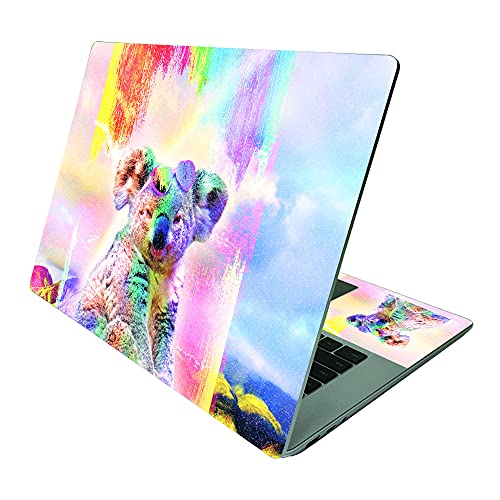 Rainbow Koala
