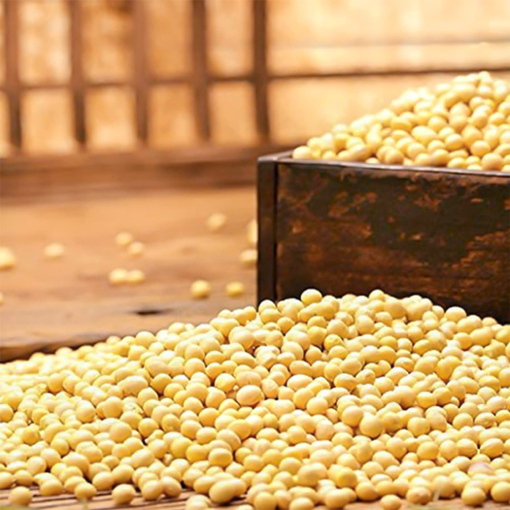 Premium Non-GMO Soybeans for Soy Milk, Tofu, Tempeh, Miso & Natto - 4lb Bulk Pack | Organic Plant-Based Protein Source for Vegan Cooking, Homemade Soy Products & Fermented Foods