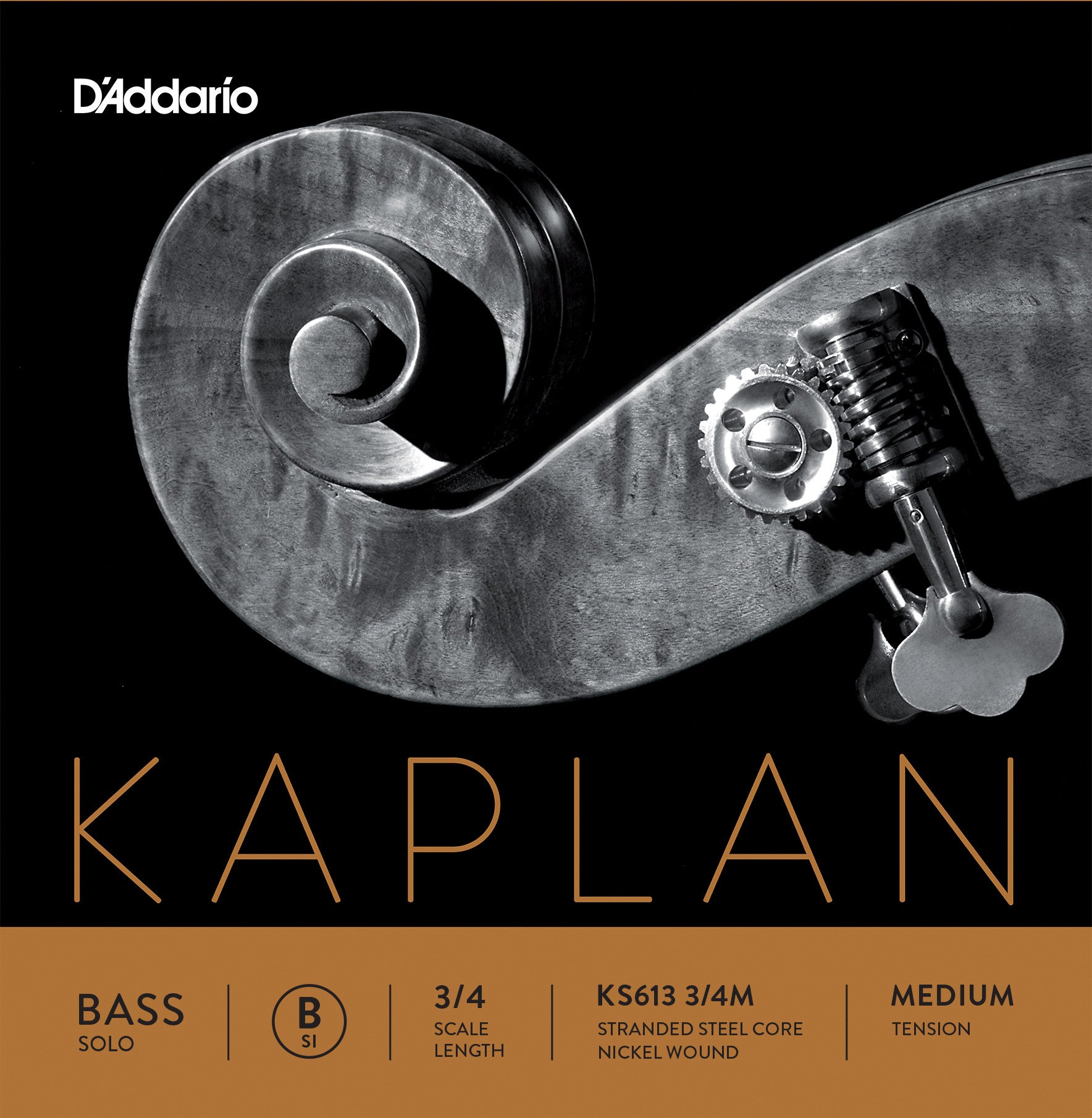 D'Addario Kaplan Solo Double Bass B String - 3/4 Scale Medium Tension for Orchestral & Jazz Performance | Perfect for Professional Bassists & Music Students