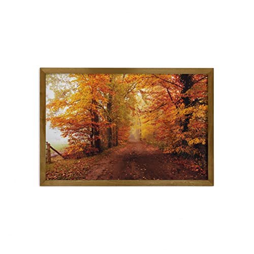 Orange Redwood Yellow