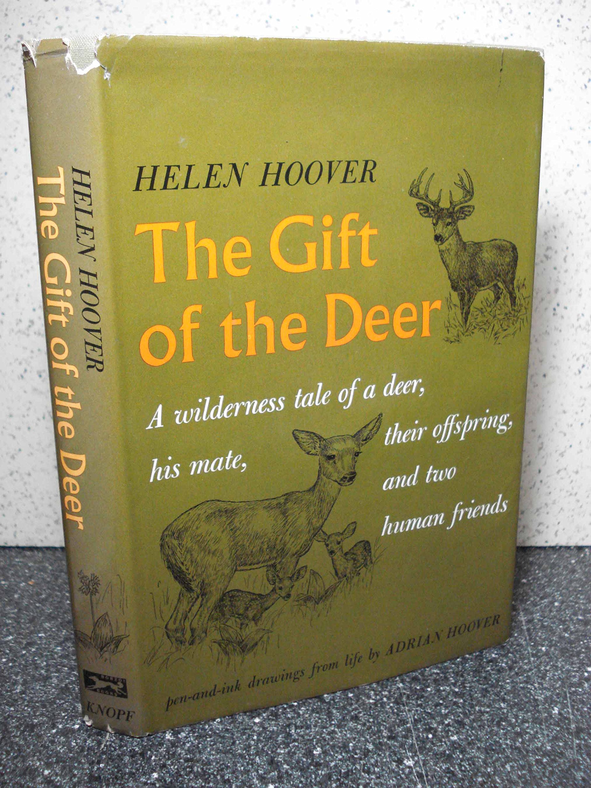 The Gift of the Deer: Original Pen and Ink Wildlife Drawings - Perfect for Nature Lovers, Home Decor & Unique Gifts