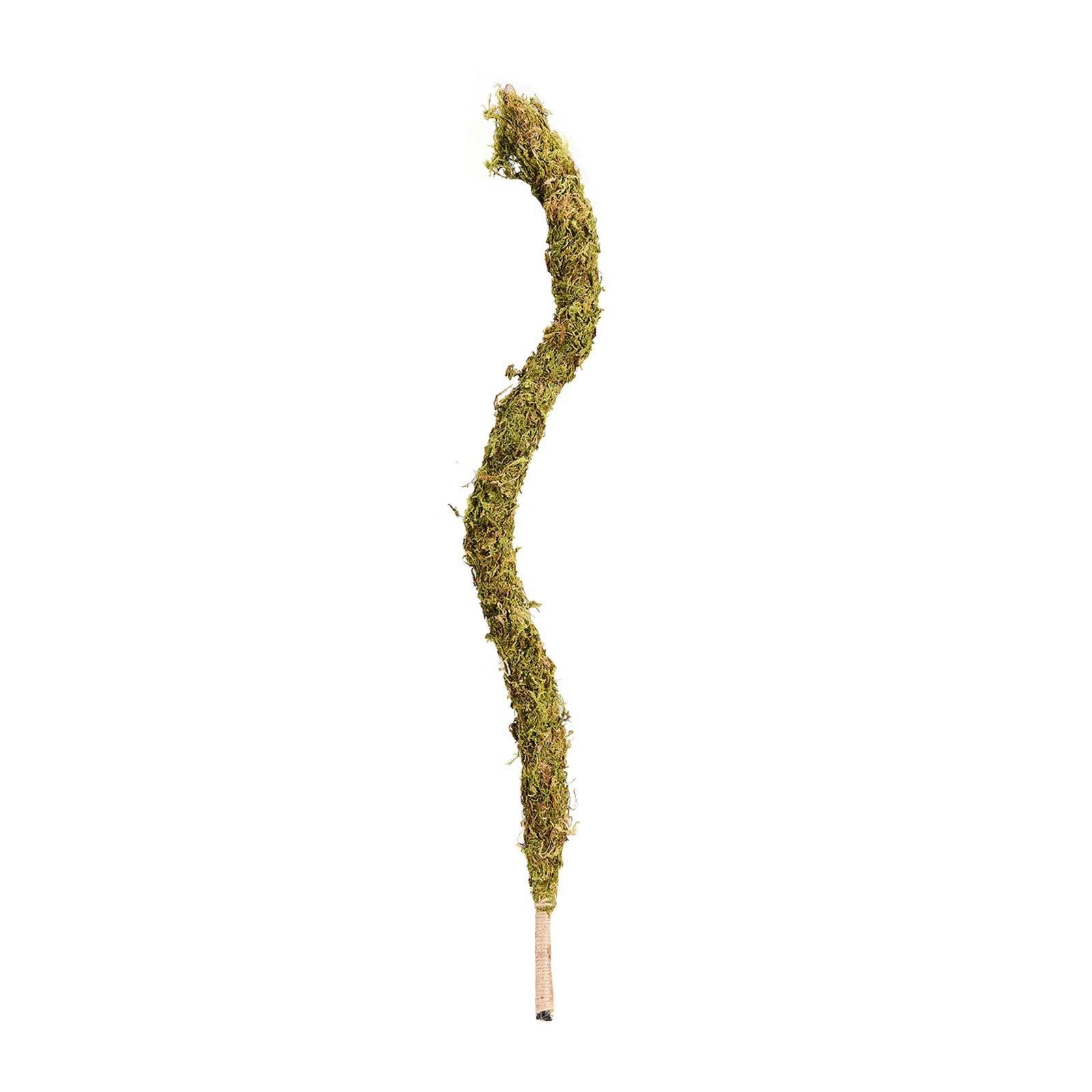 ZYLLZY 26Inch Flexible Bendable Moss Stick for Monstera Plants - Handmade Sphagnum Climbing Pole for Indoor Plant Growth - Perfect for Pothos, Philodendron & Climbing Houseplants (1Pcs)