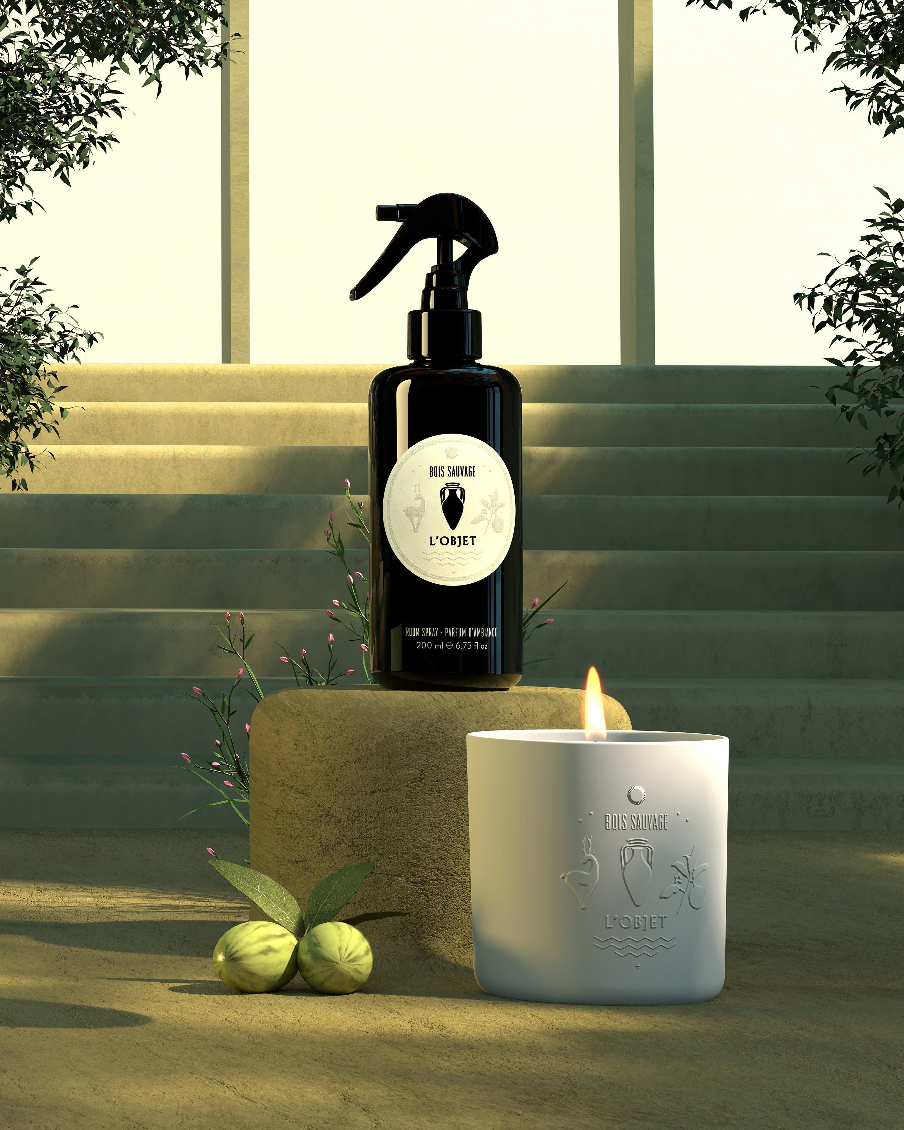Bois Sauvage Luxury Scented Candle - Natural Soy Wax, Long-Lasting Fragrance for Home, Spa & Romantic Ambiance | Perfect for Relaxation, Meditation & Gift Giving