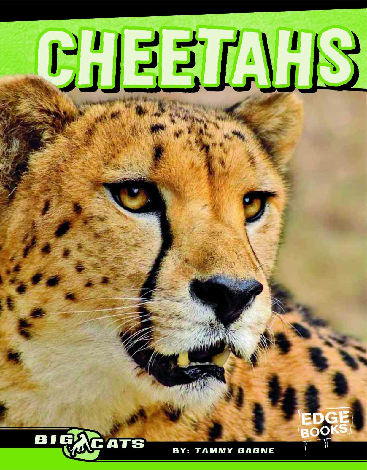 Cheetahs Book: Big Cats Facts for Kids & Wildlife Lovers