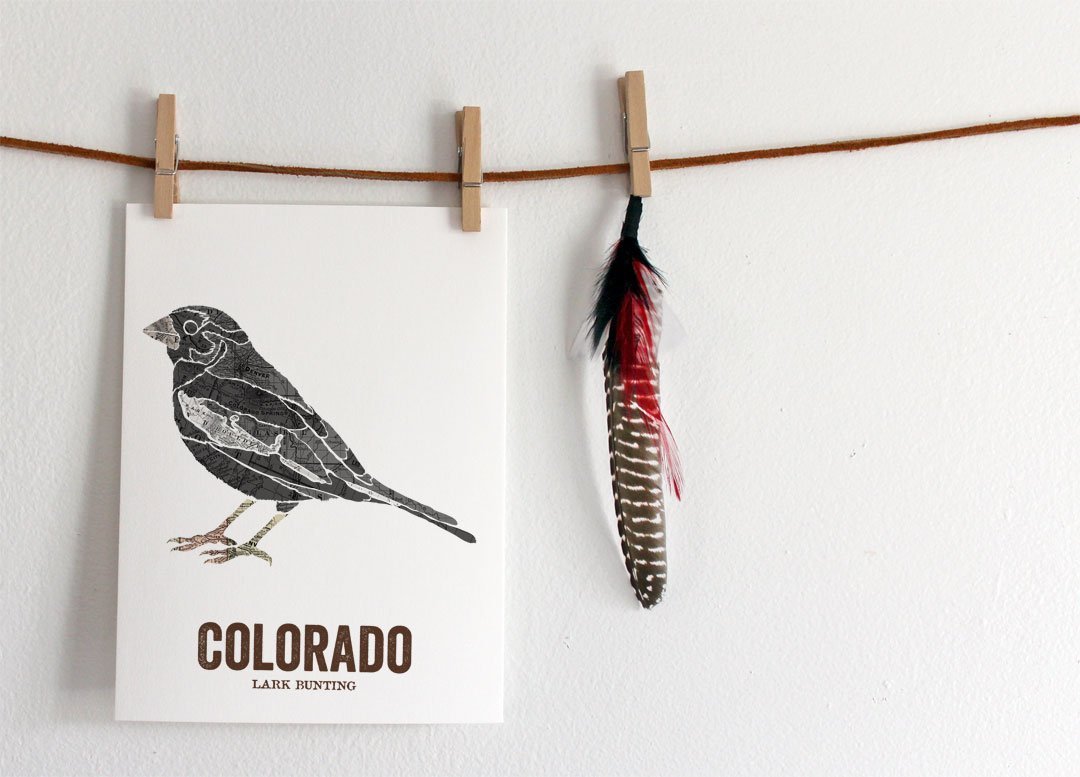 Colorado State Bird Art - Vintage Map & Nature Wall Decor - Lark Bunting Print for Rustic Nursery, Outdoor & Home Decor