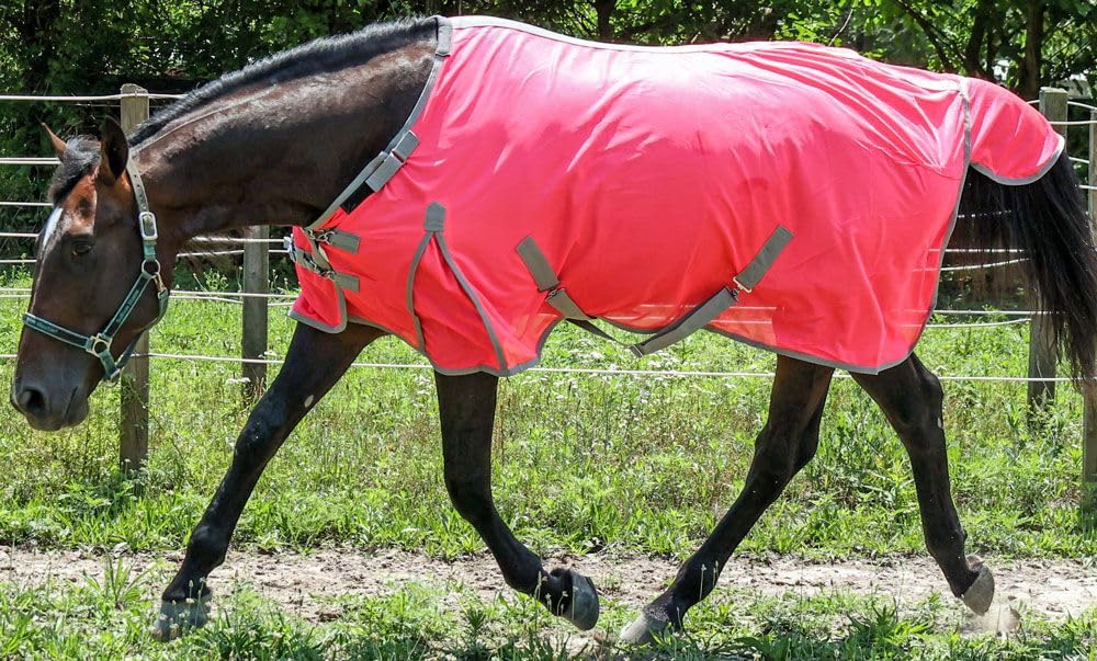 Breathable Soft Mesh Fly Sheet with Adjustable Neck for Horses - Perfect for Summer Riding & Outdoor Training