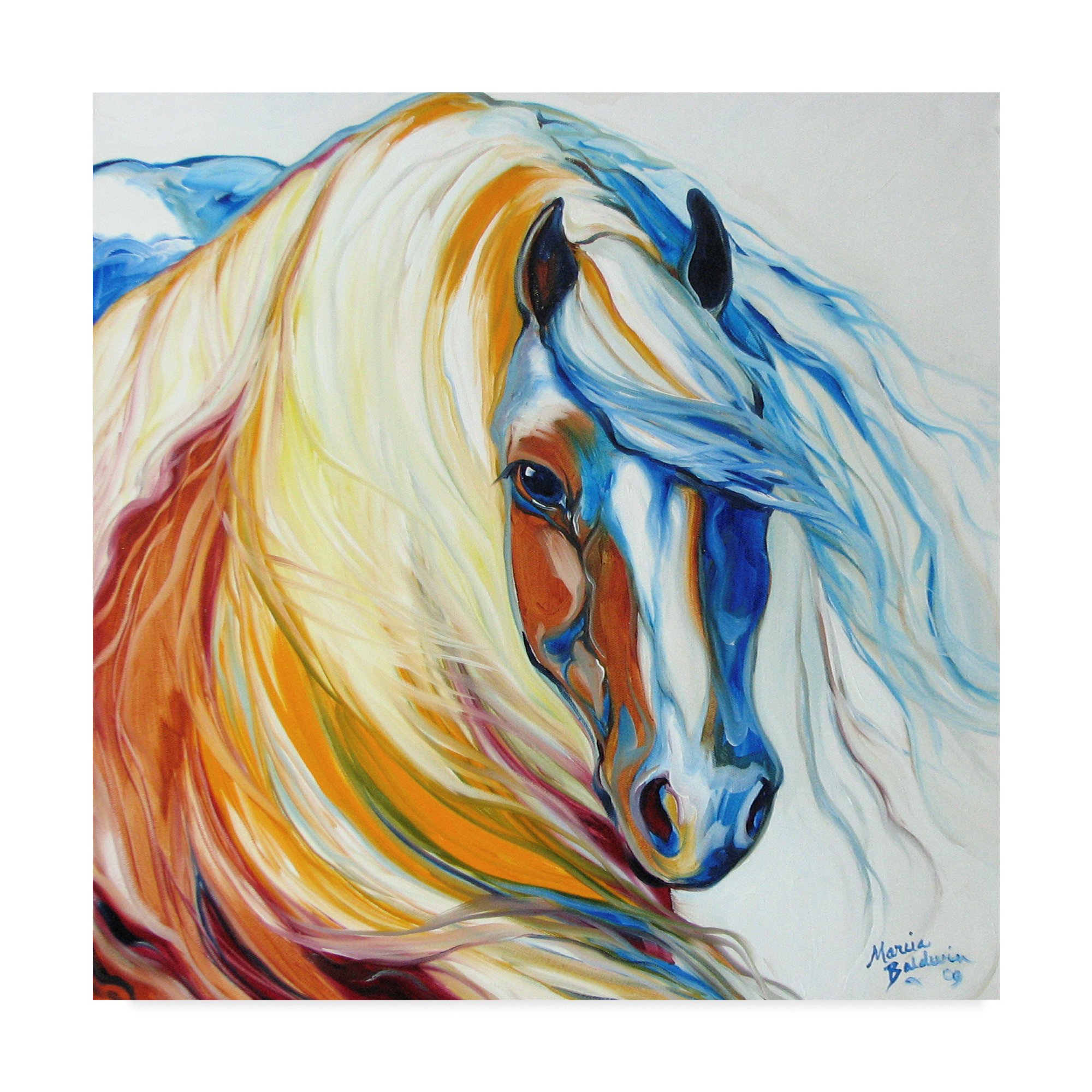 Trademark Fine Art Marcia Baldwin Multicolor Wall Décor - Elegant Home & Office Decoration for Living Room, Bedroom, or Gallery Display