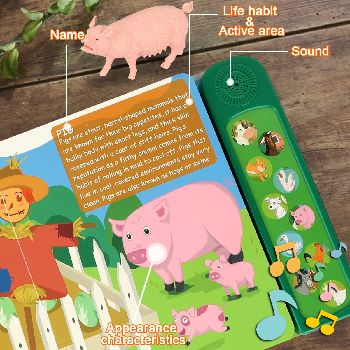 Realistic Farm Animal Figurines Set with 10 Plastic Animals & Sound Book - Educational Learning Toys for Toddlers Ages 3+ | Perfect for Preschool Playtime, Birthday Gifts & Early Childhood Development