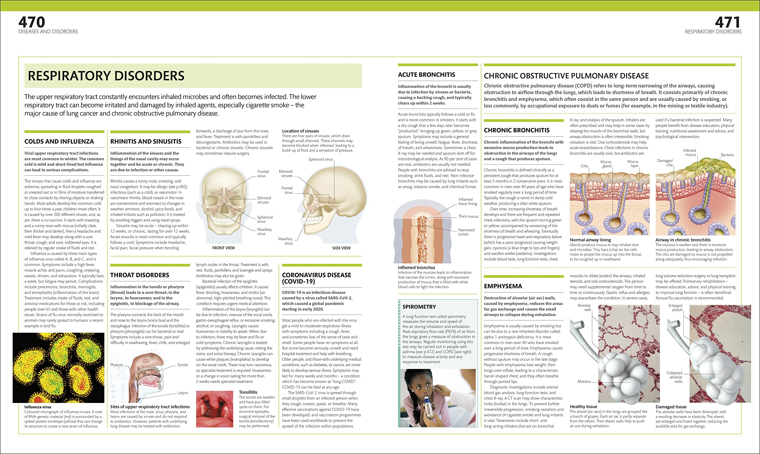 The Complete Human Body: The Definitive Visual Guide | DK Human Body Guides | Anatomy Reference for Students & Medical Professionals | Perfect for Home Study & Classroom Learning
