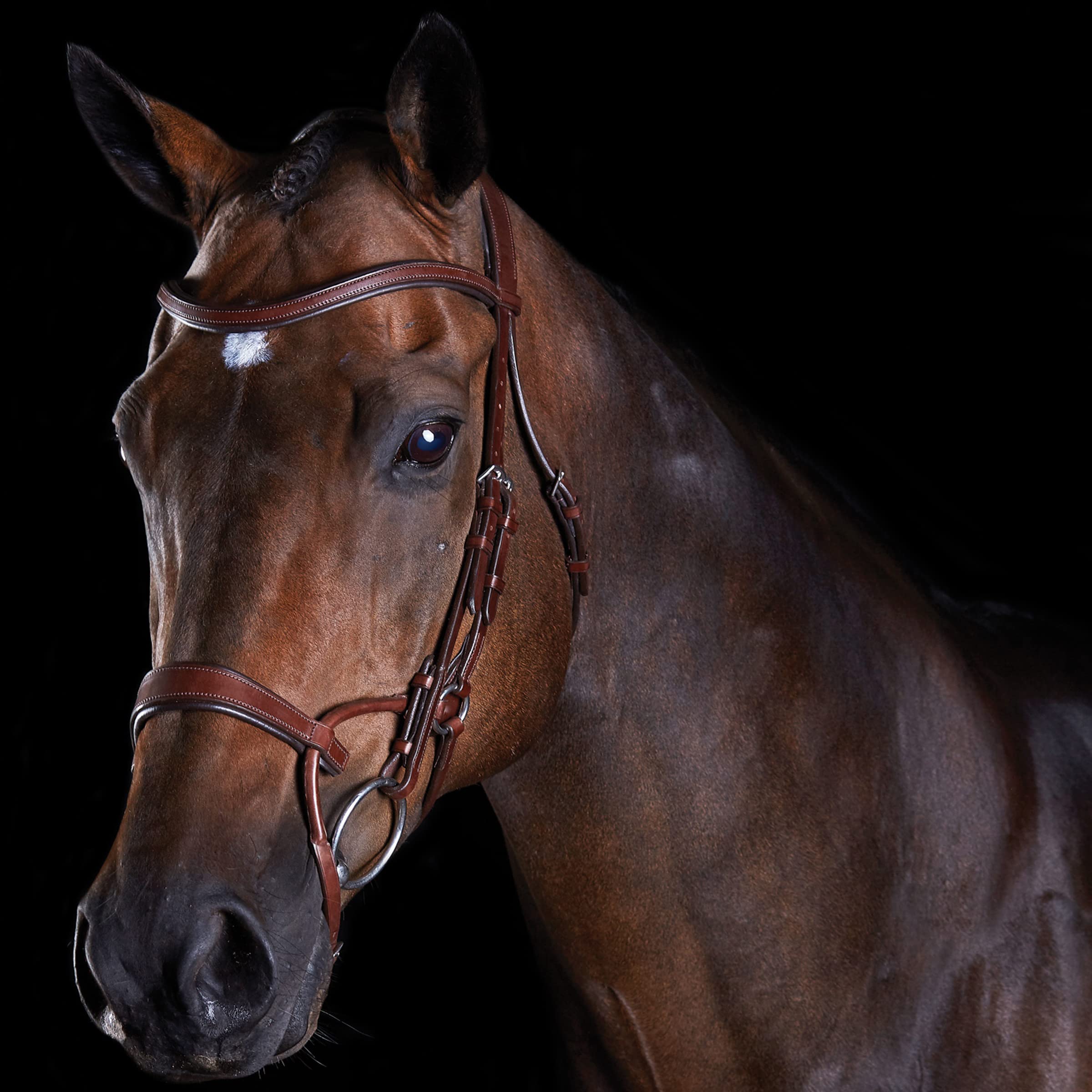 ComFiTec Professional Horse Training Bridle - Durable Brown Leather Full Size for Equestrian Riding & Dressage | Perfect for Training, Shows & Competitions