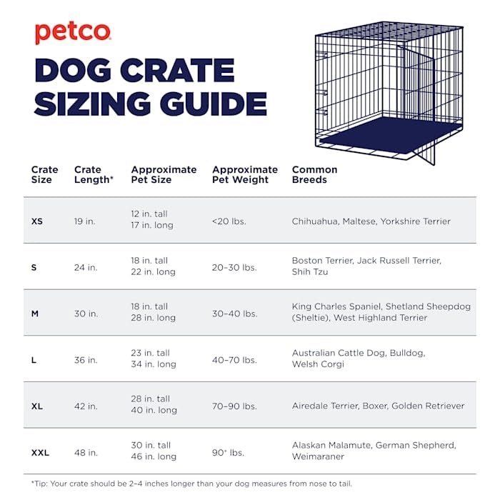 EveryYay Essentials 2-Door Folding Dog Crate - 36.5