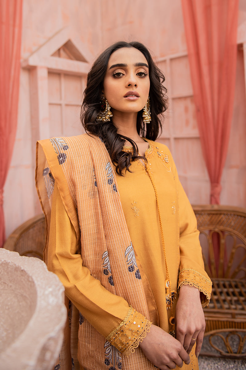 IRSIA 2PC Women's Ethnic Outfit Set (Shirt & Dupatta) - Traditional Indian Kurti & Scarf for Festivals, Weddings & Special Occasions