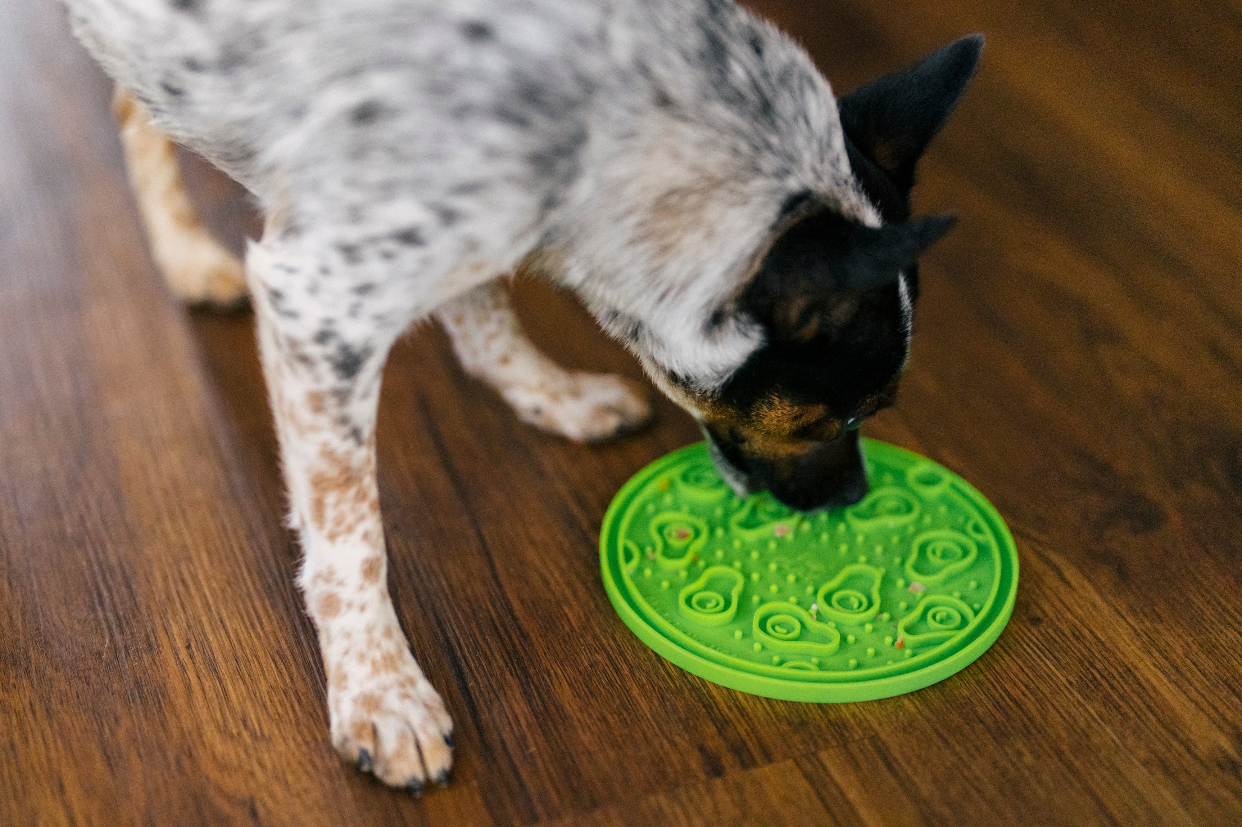 EverLick Slow Feeder Mat for Dogs and Cats - Avocado (Small) & Pineapple (Large) | Pet P.L.A.Y. - Interactive Puzzle Toy for Mealtime Fun & Mental Stimulation