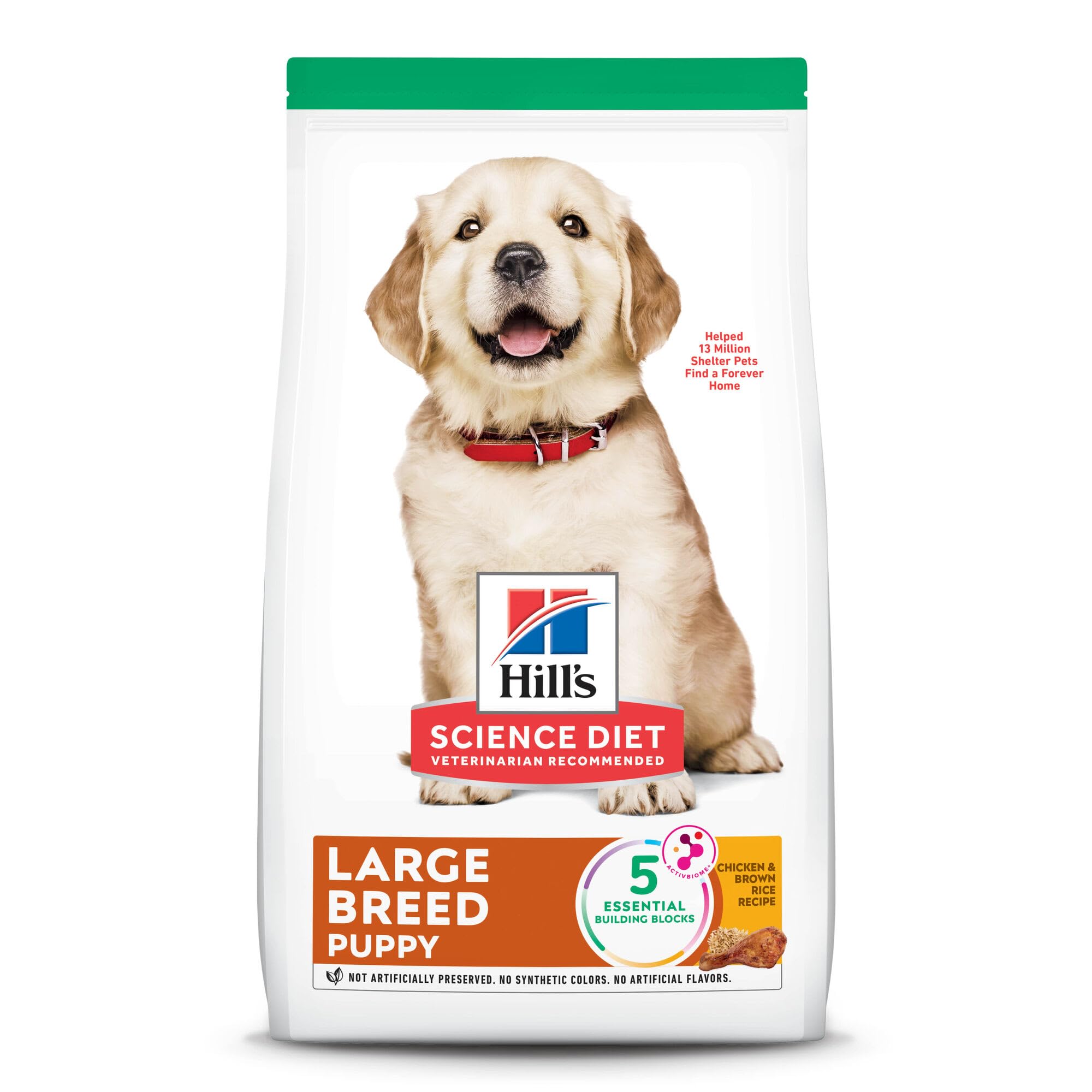 Hill's Science Diet Large Breed Puppy Dry Dog Food - Premium Nutrition with Chicken & Brown Rice, 15.5 lb Bag - Ideal for Growing Large Breed Puppies and Active Dogs