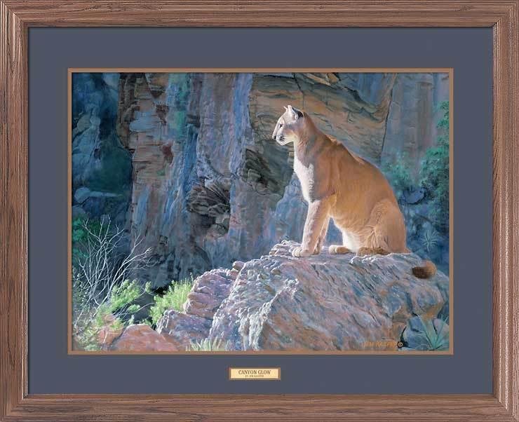 Premium Cougar Canyon Glow Print - High-Quality Wildlife Art for Home & Office Decor - Perfect for Living Rooms, Bedrooms & Gifts