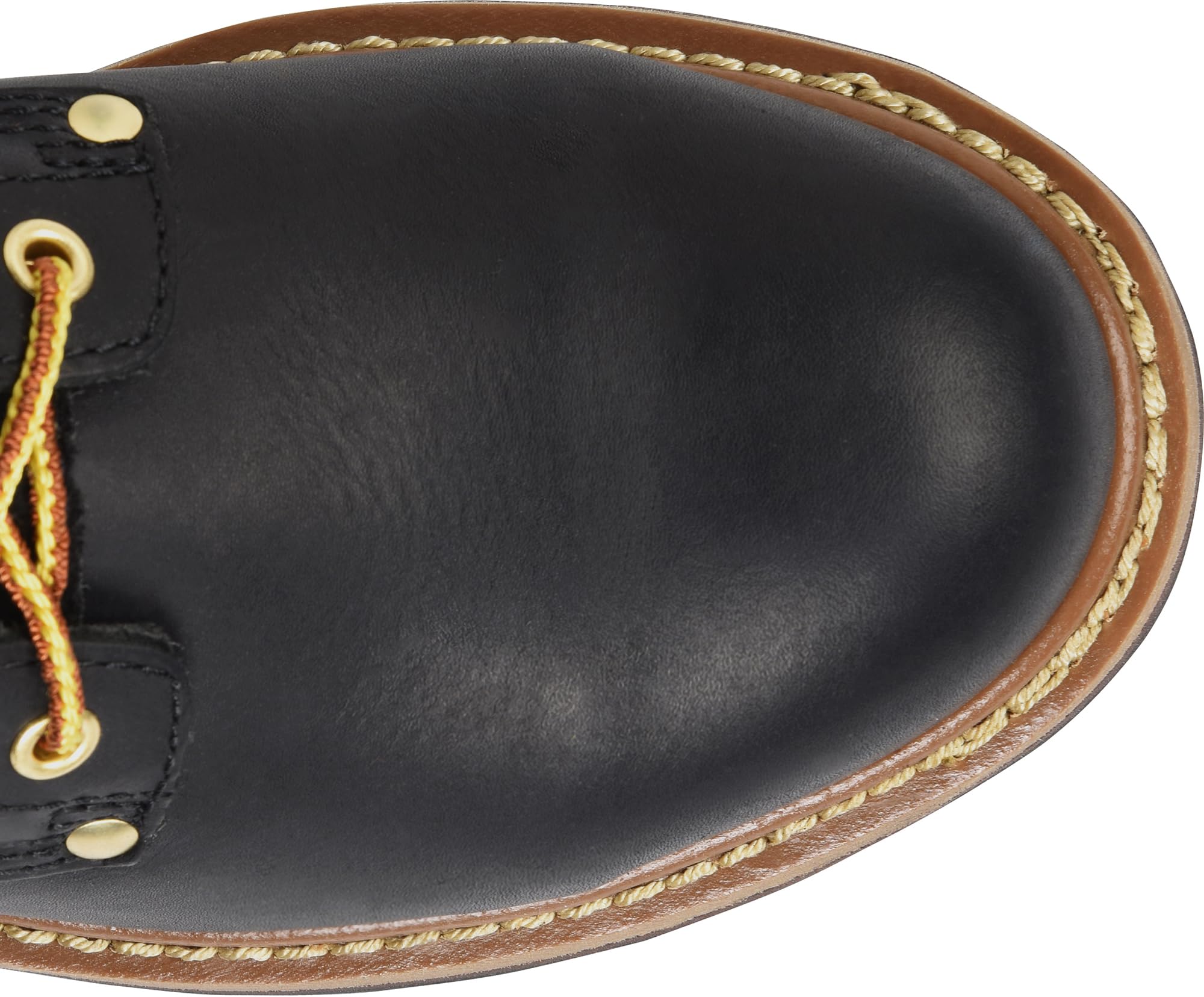 **Carolina Men's 8