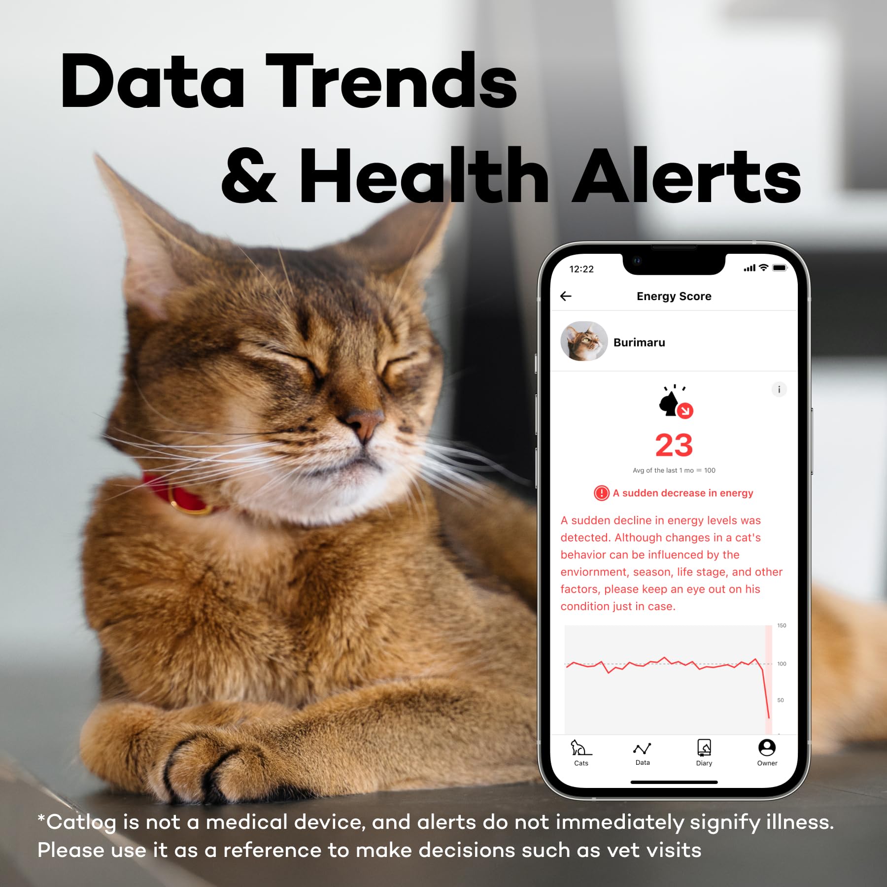 Smart Cat Collar with Breakaway Buckle - Health Tracker for Indoor Cats, Activity Monitoring for Home Safety