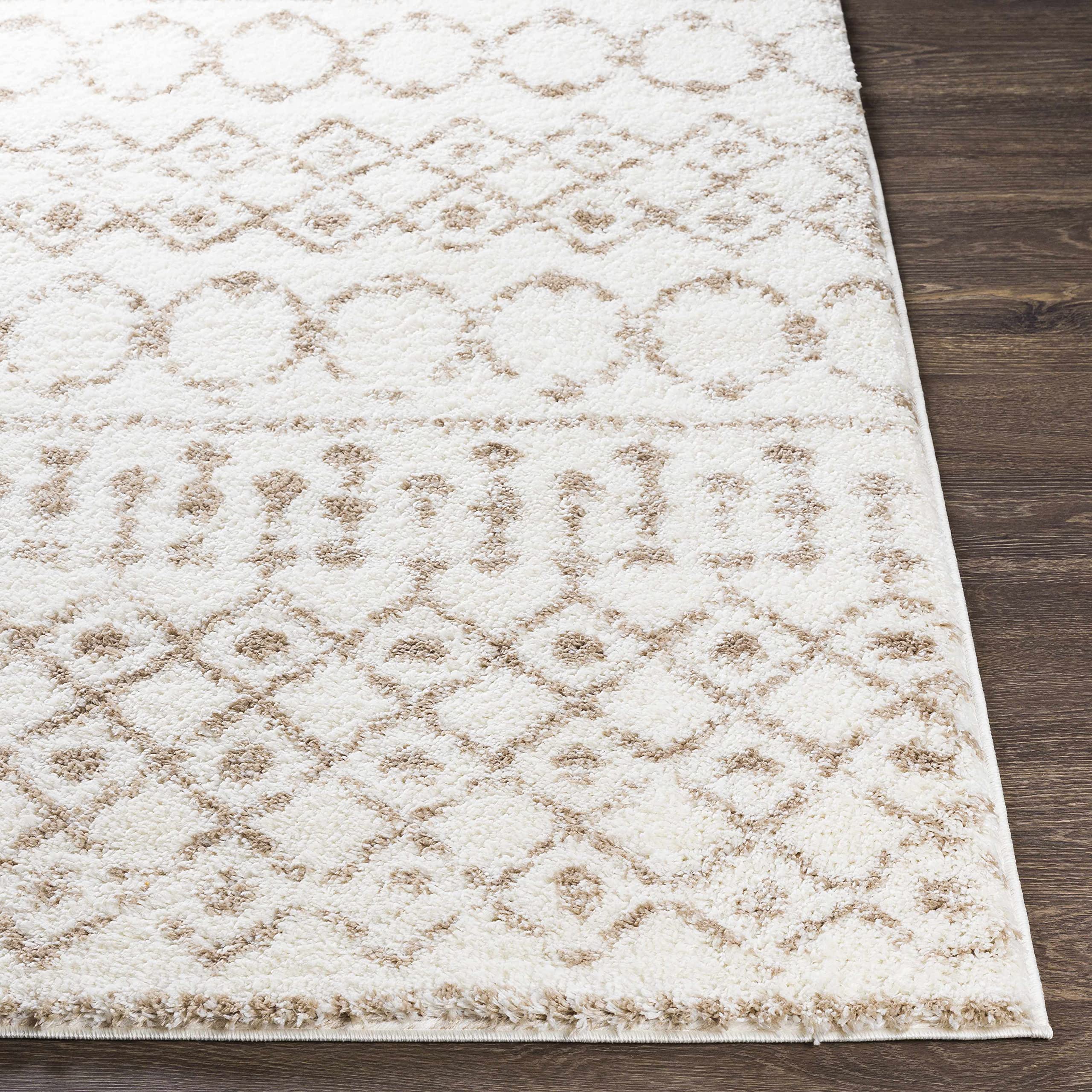 Luxury Hauteloom Collingwood Plush Area Rug 5'3